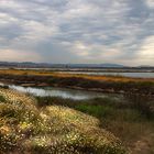 Salins des Pesquiers en hiver