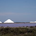 Salins du Midi