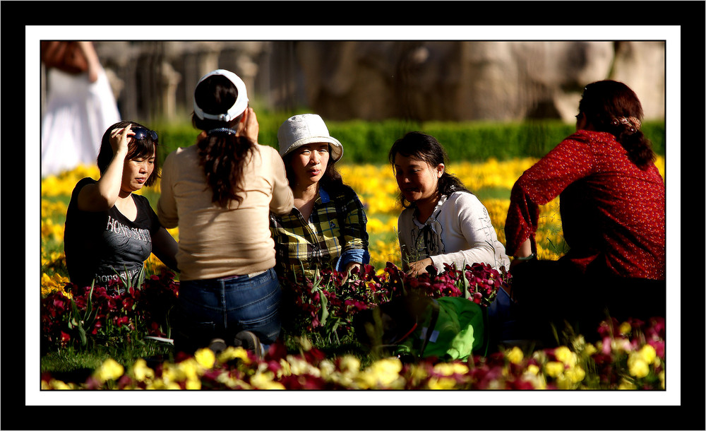 Salisburgo - Mirabell Garden - Un click fiorito