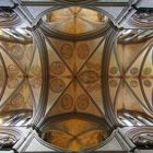 Salisbury Cathedral 2