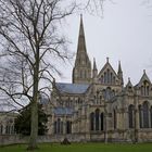 Salisbury Cathedral