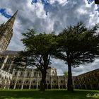 Salisbury Cathedral