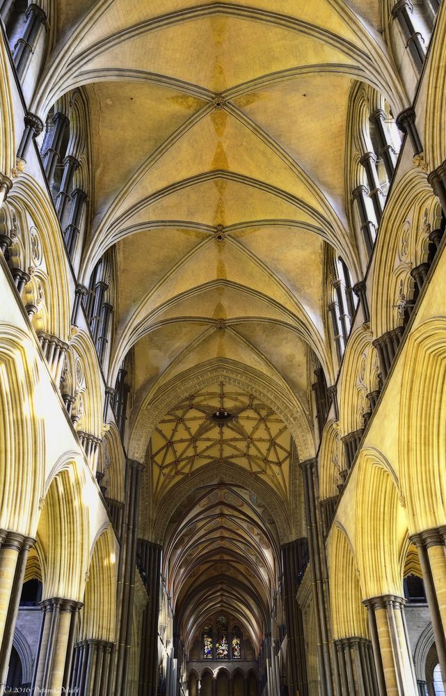 - Salisbury Cathedral -