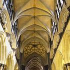 - Salisbury Cathedral -