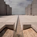 Salk Institute