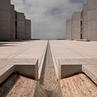 Salk Institute