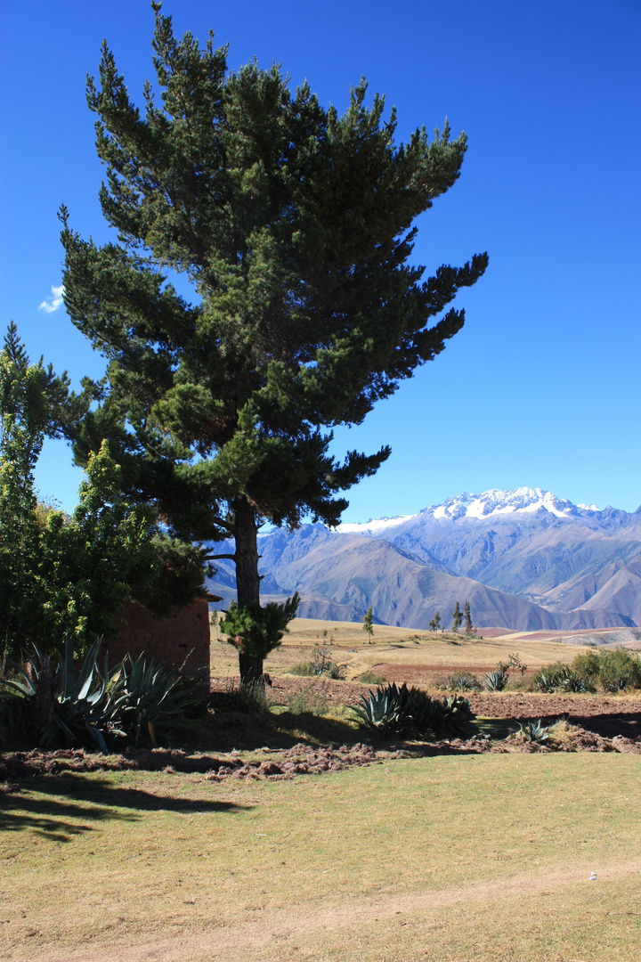 Salkantay de lejos