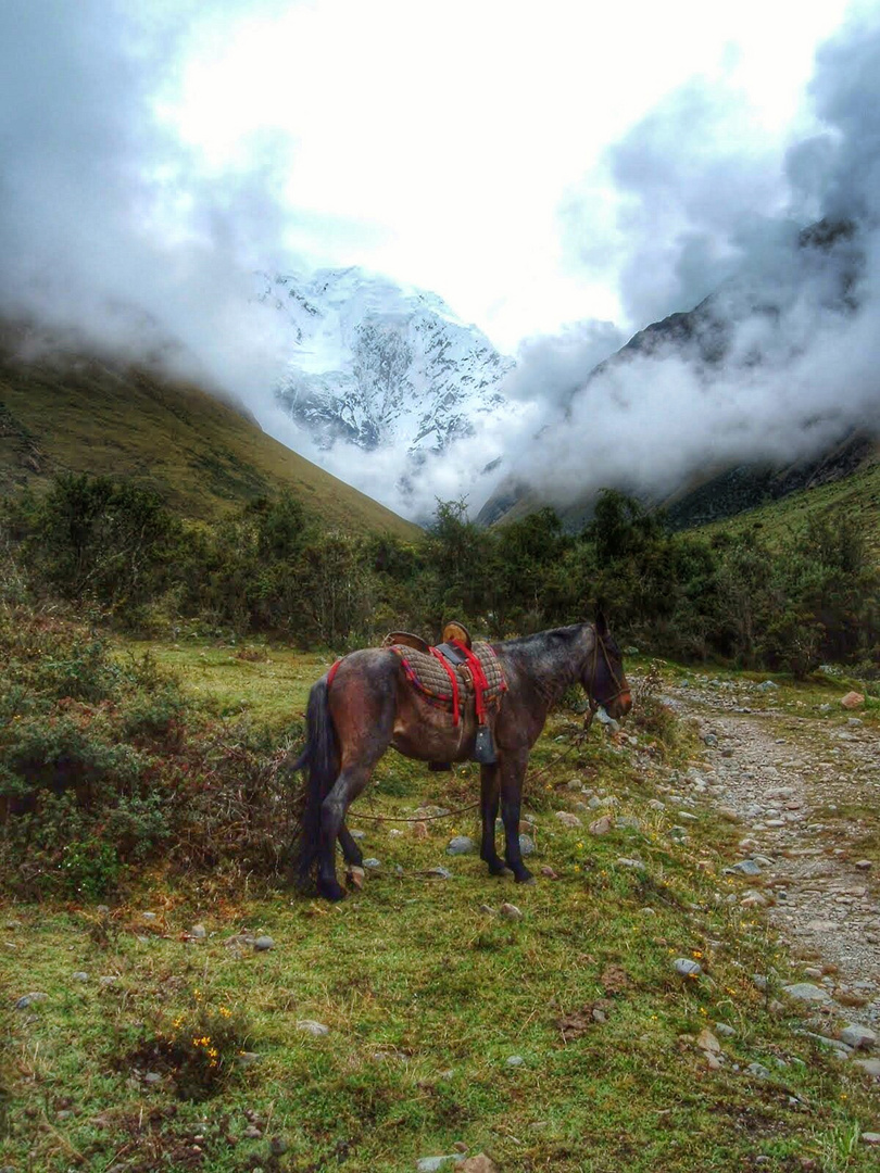 Salkantay Trail