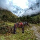 Salkantay Trail