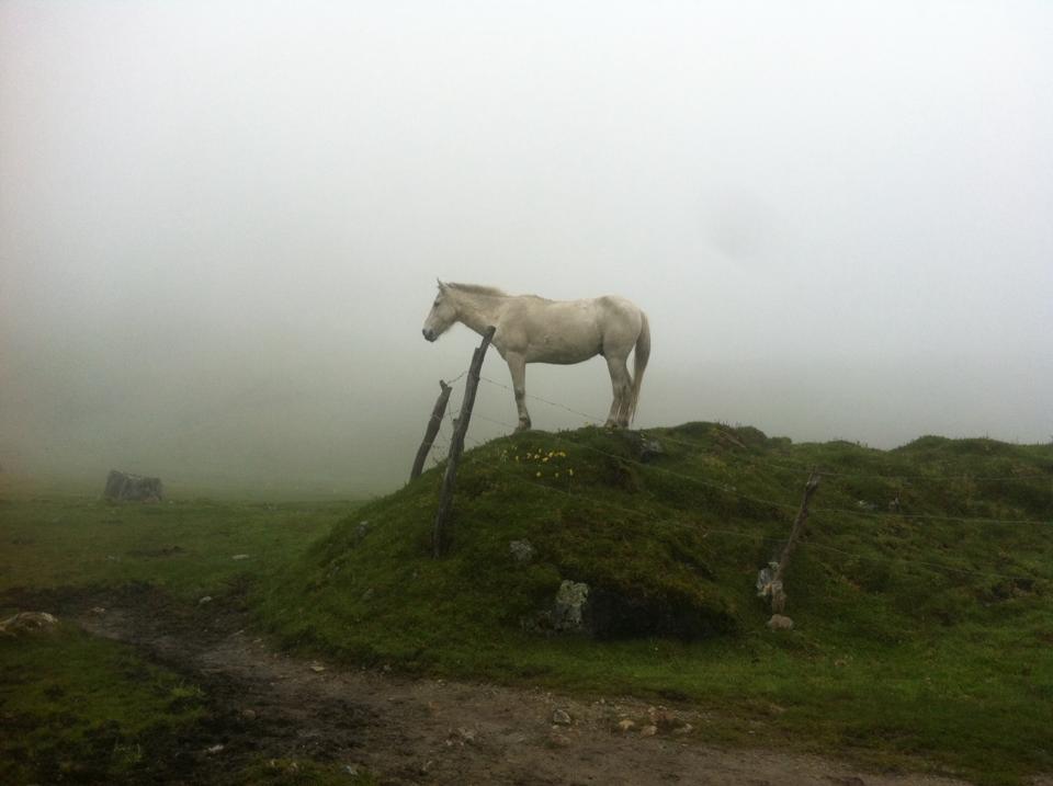 Salkantay Trail_Peru