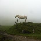 Salkantay Trail_Peru