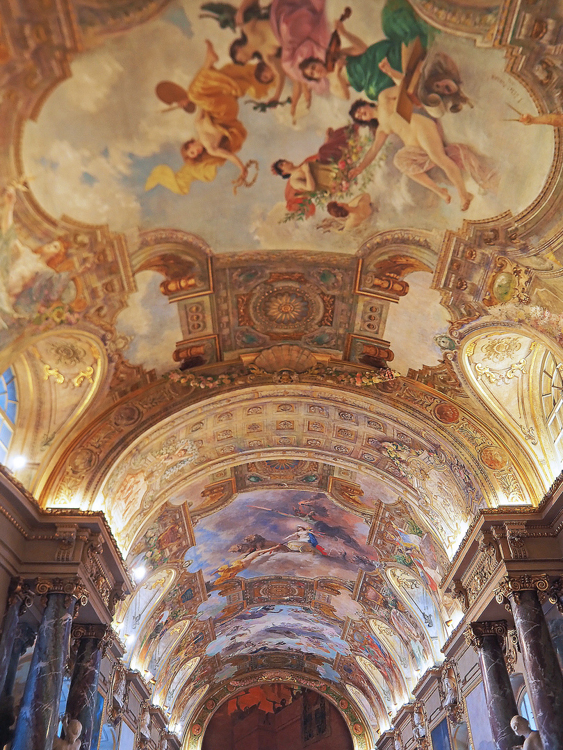 Salle des Illustres  -  Hôtel de ville de Toulouse