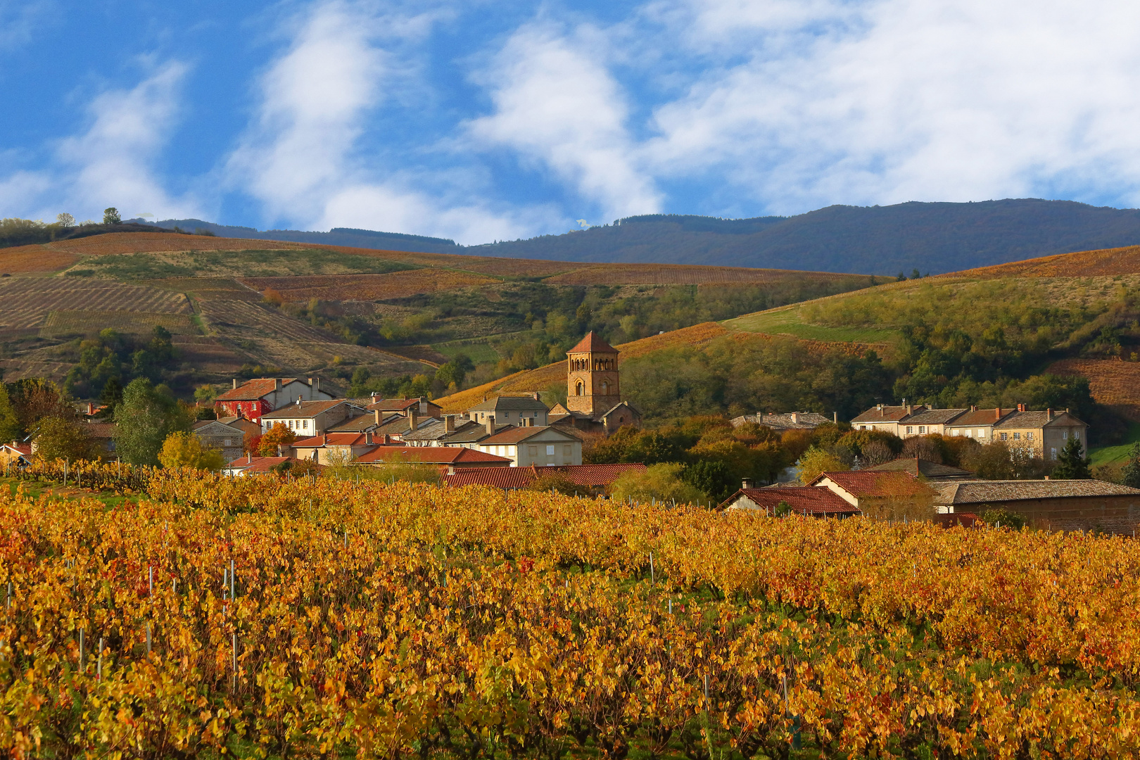 Salles en Beaujolais