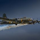 Sally B