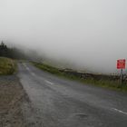 Sally Gap in the mist