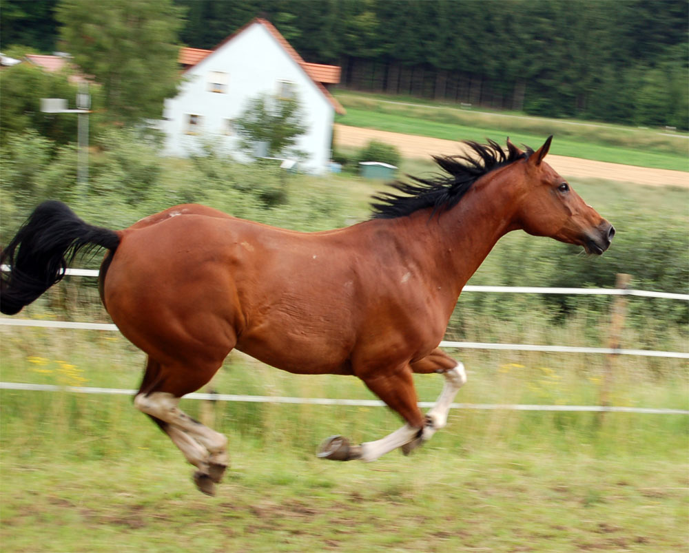 Sally in Bewegung