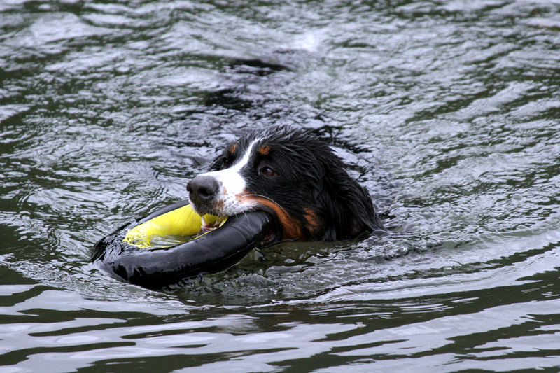 Sally mit ihrem Lieblingsring ...