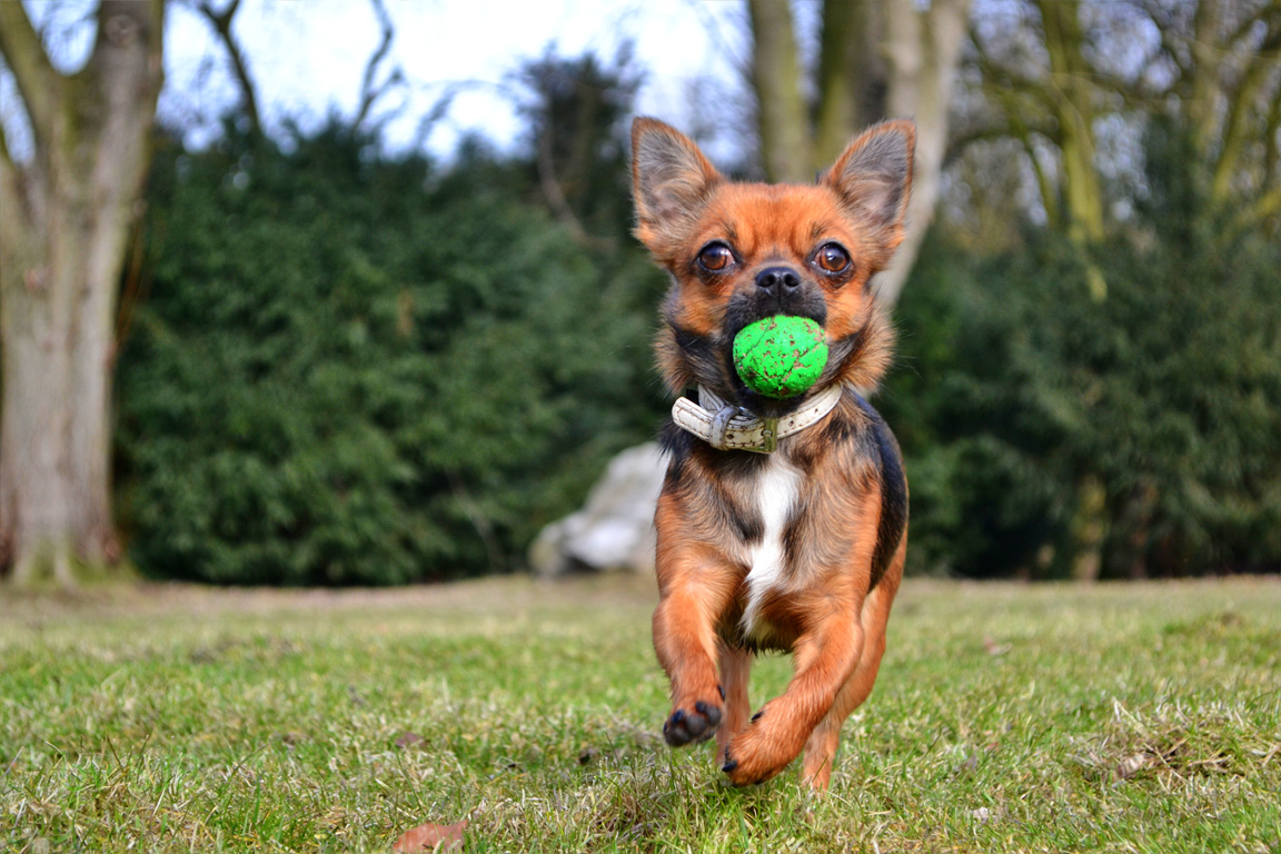 Sally`s Ball ;-)