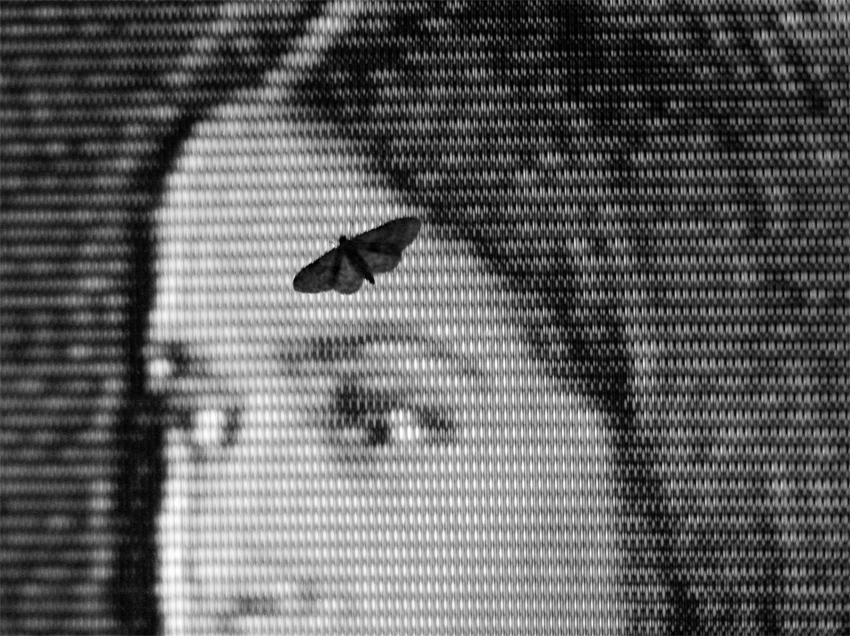 Salma Hayek mit Motte auf der Stirn