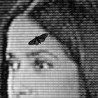 Salma Hayek mit Motte auf der Stirn