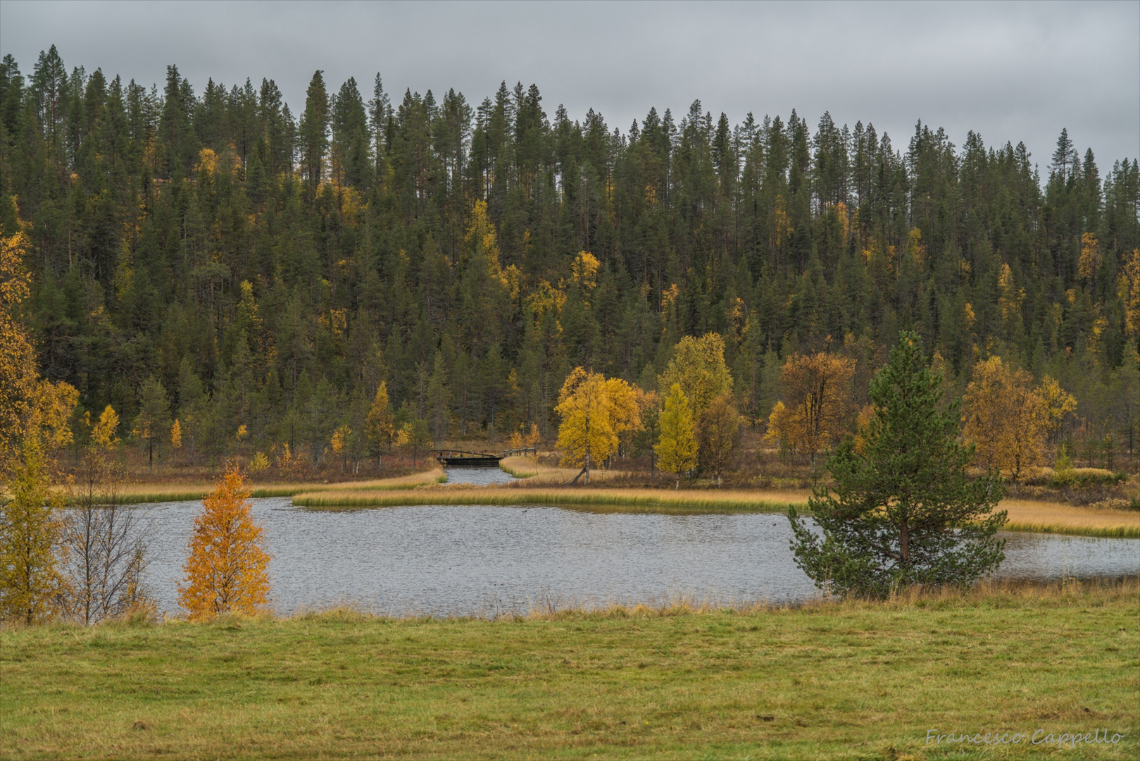 Salmijärvi