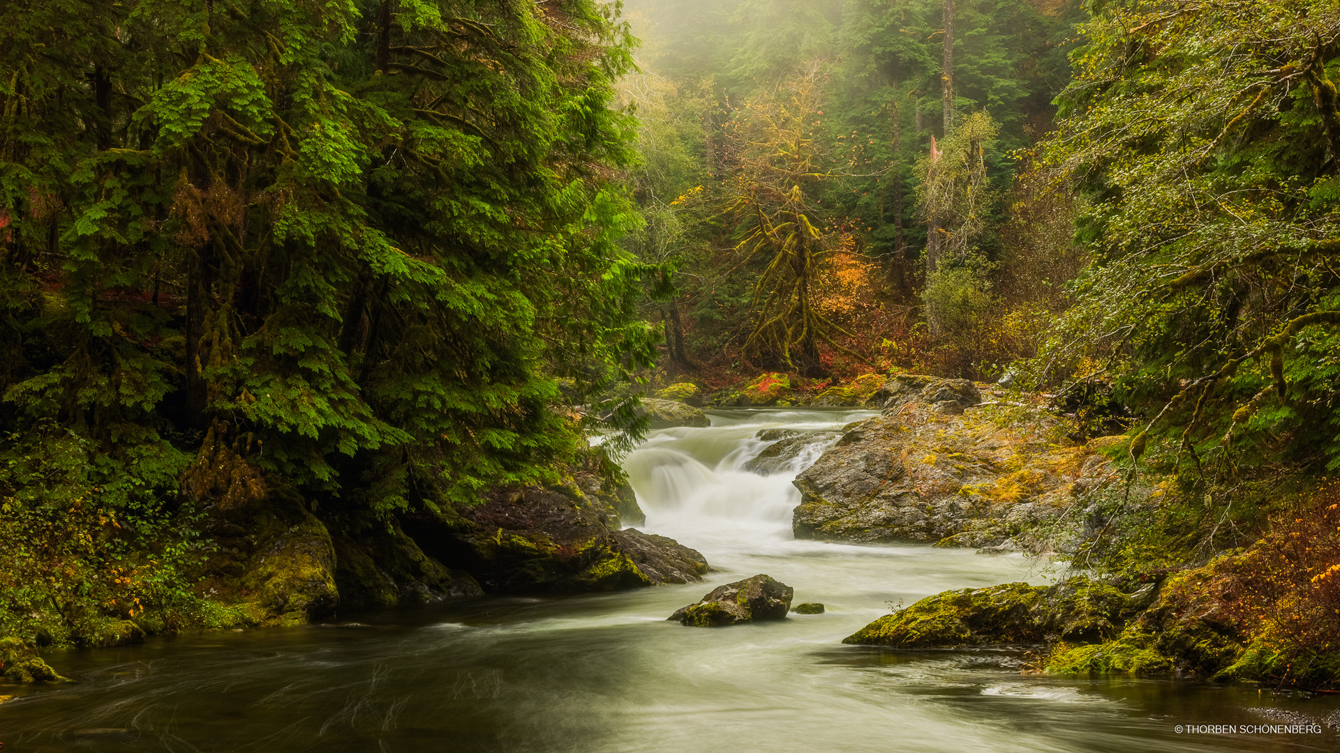 Salmon Cascades