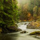 Salmon Cascades