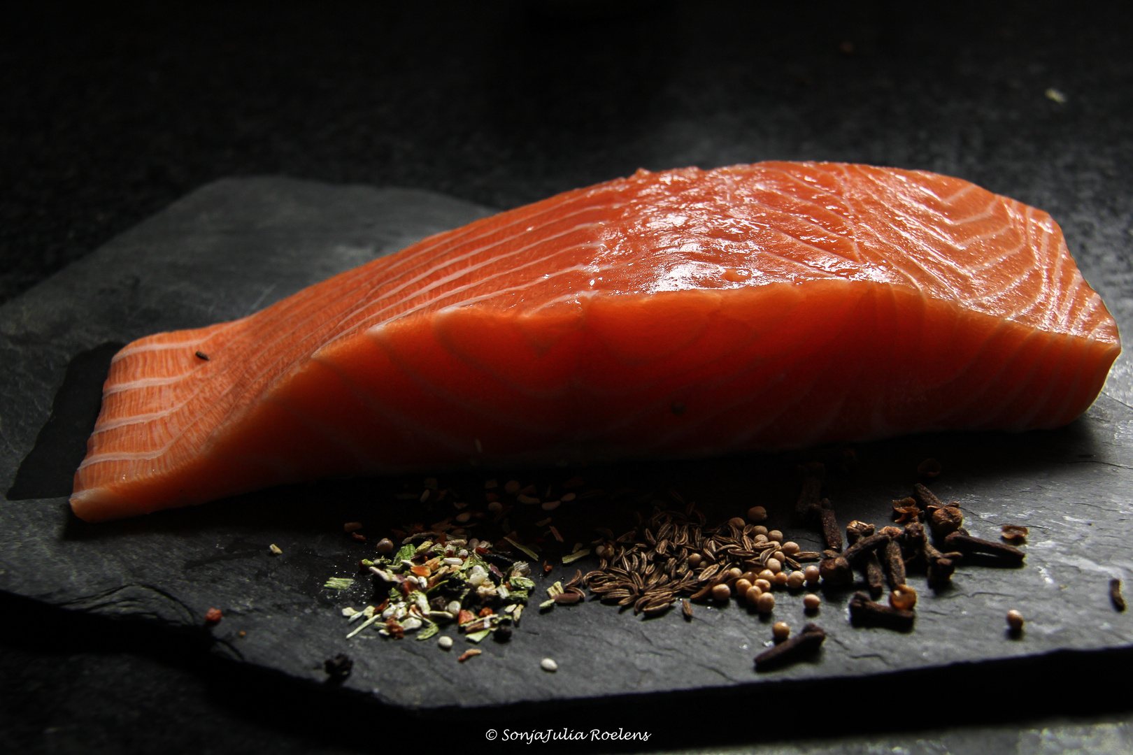 Salmon 