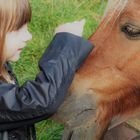 SALOME  EN ADMIRATION DEVANT CE CHEVAL 