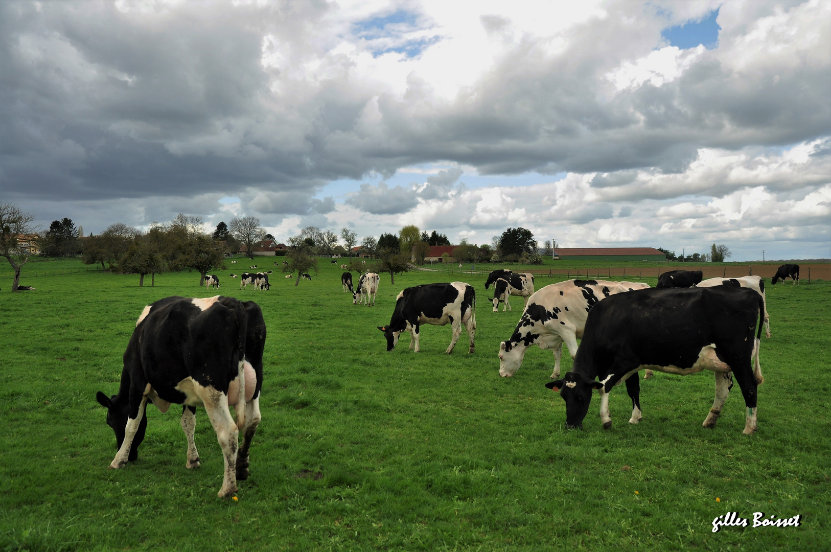 salon normand de l'agriculture