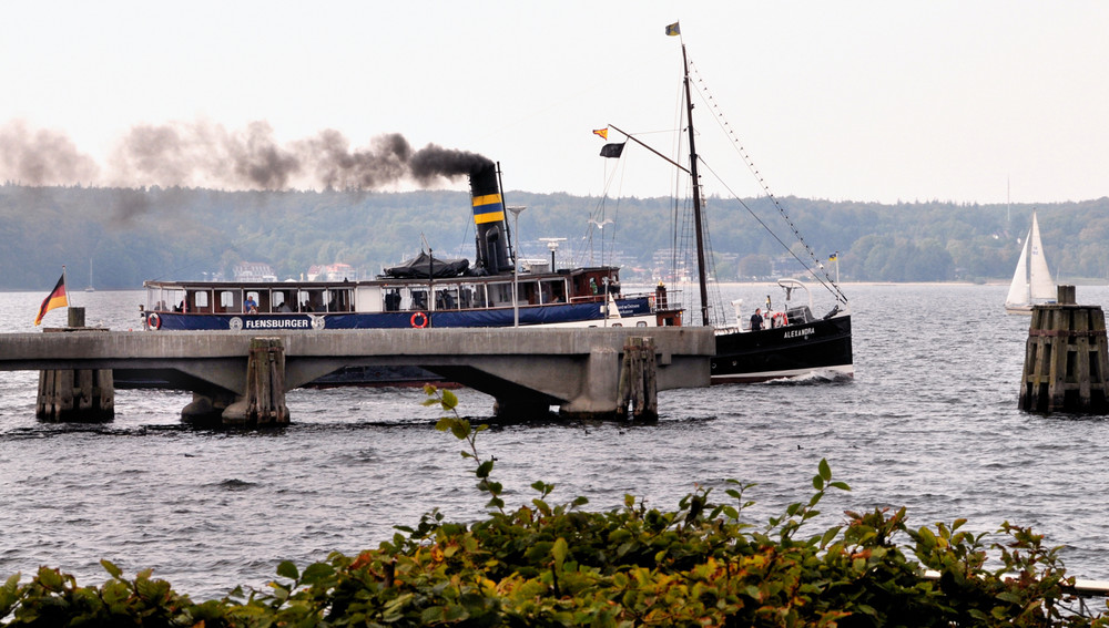 Salondampfer Alexandra auf der Flensburger Förde