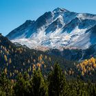 Salouf, Graubünden                                 DSC_3123