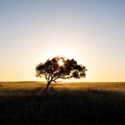 Salt Creek Australia