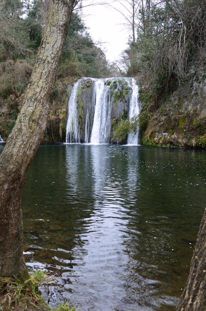 Salt de la Plana (Les Planas d'hostoles)