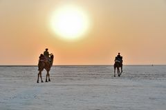 Salt Desert.