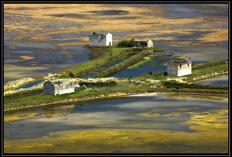 Salt fields