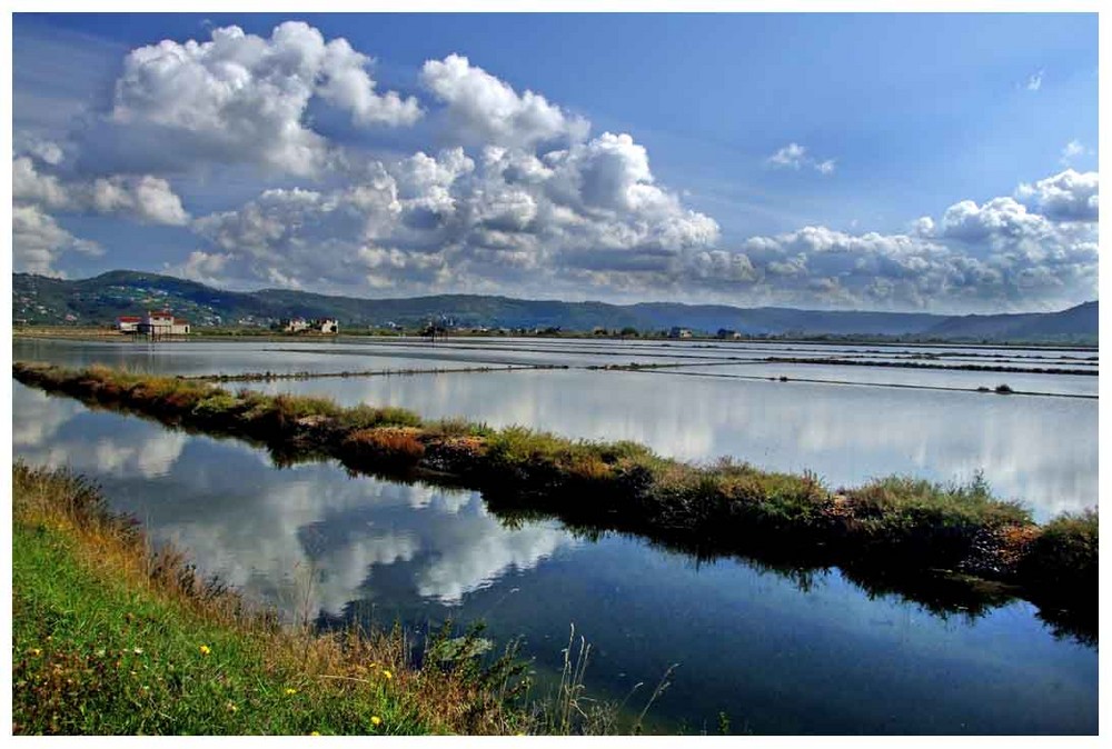 salt fields