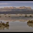 Salt Flat Basin [ director´s cut ]