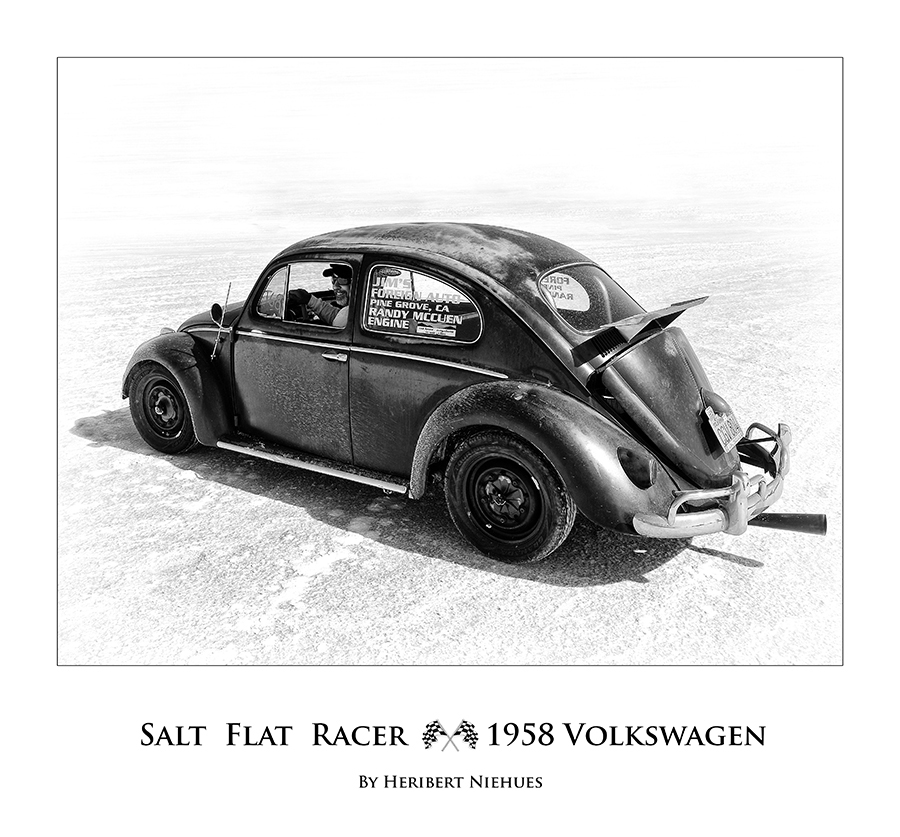 Salt Flat Bug