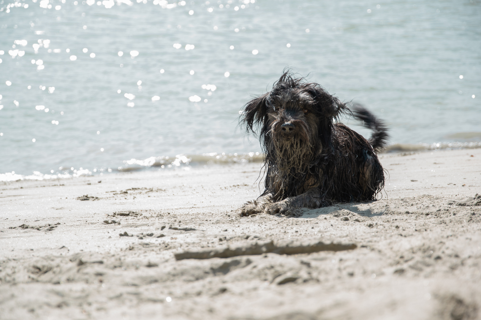 Salt in the air, sand in my hair