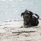 Salt in the air, sand in my hair