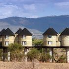 Salt Lick Lodge- Taita Hills- Game Reserve - Kenya