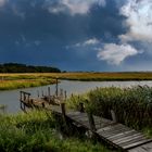 Salt marsh afternoon