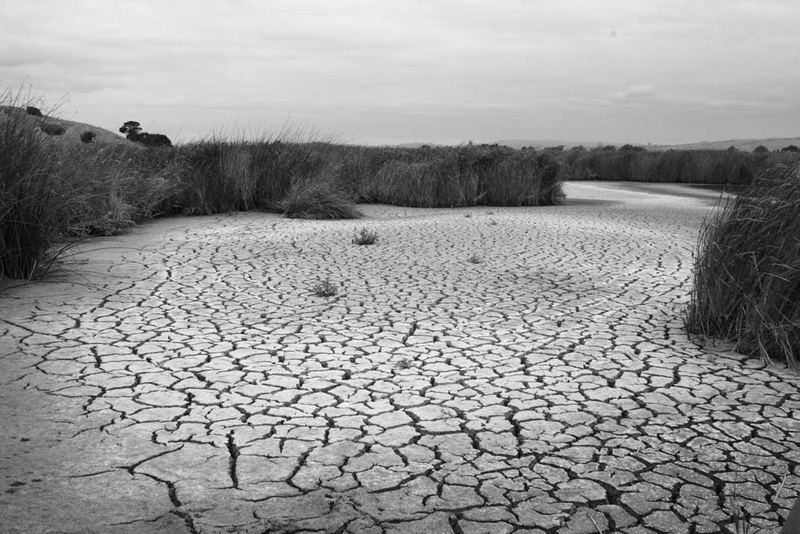 Salt Marsh, Coyote Hills State Park, Newark, California