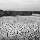 Salt Marsh, Coyote Hills State Park, Newark, California