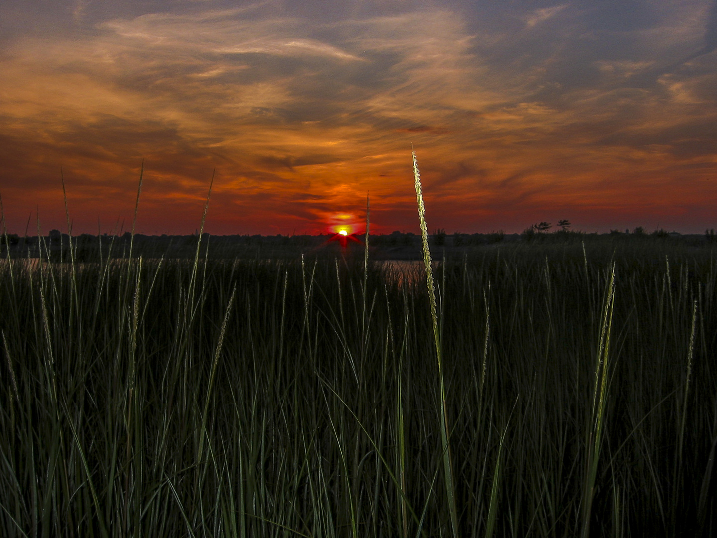 Salt Marsh Sunset 1