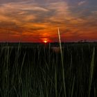 Salt Marsh Sunset 1