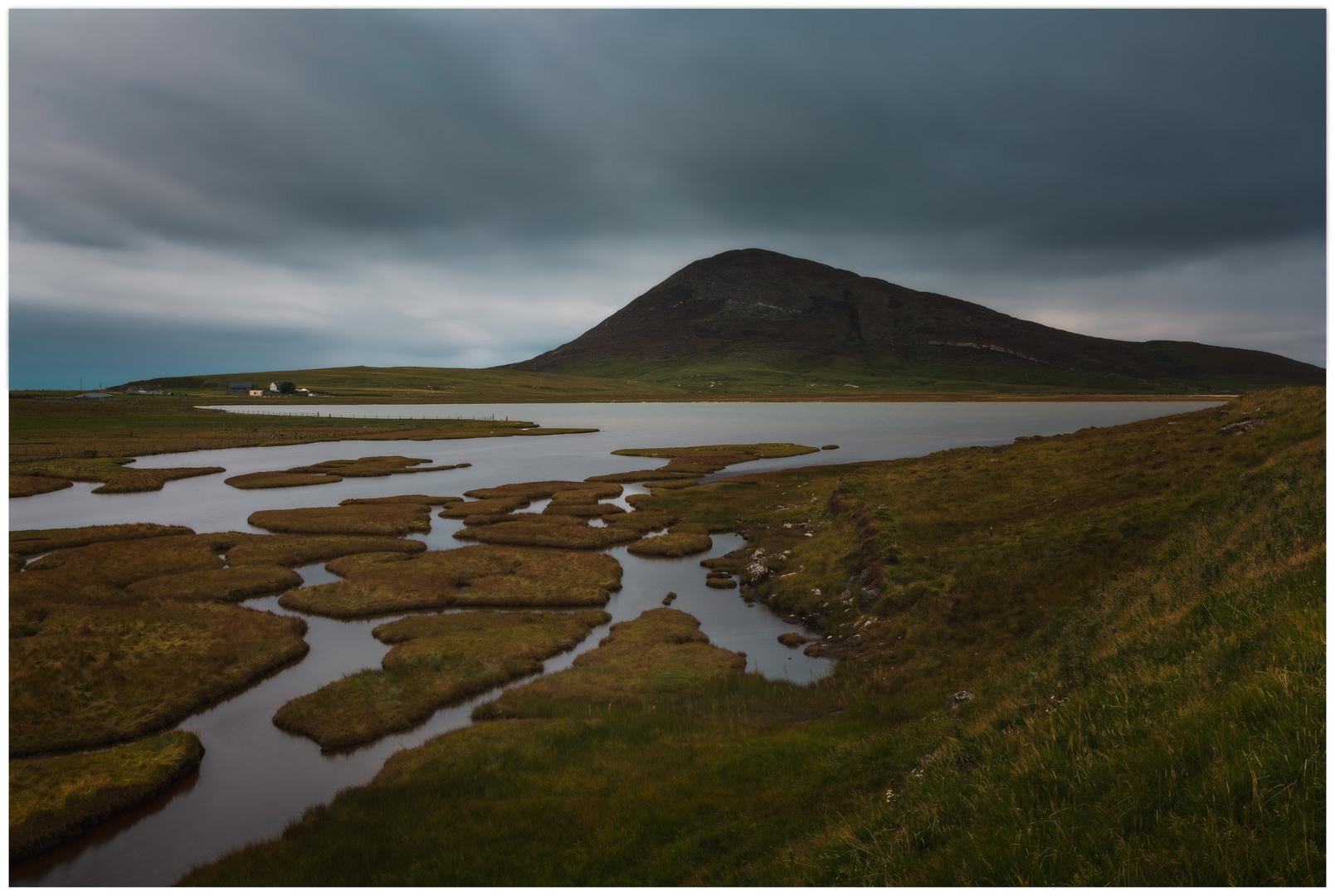 ~~ Salt Marshes ~~