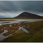 ~~ Salt Marshes ~~