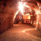 Salt Mine